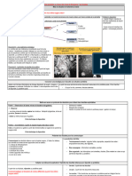 Th1-B-2-2-_activité_2-TP_dorsale_et_magma