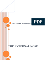 The Nose and Sinuses