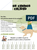 Cartel Paseador de Perros Ilustrado Verde