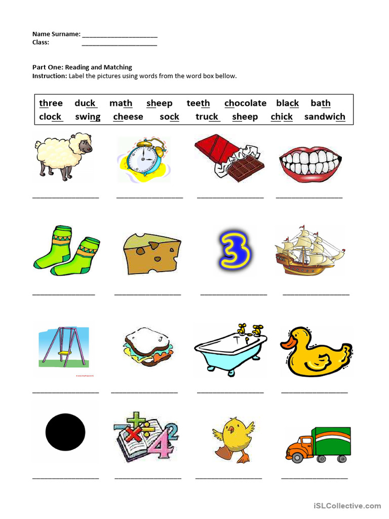 Picture Labeling Activity Worksheet | PDF