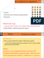 3 Szelekcio