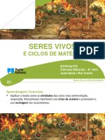 Seres Vivos e Ciclos de Matéria