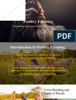 Poultry Farming 1