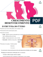 Crescimento e Desenvolvimento Fetais