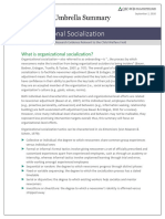 Umbrella Summary - Organizational Socialization 102821