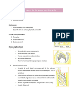 Clase 15. Alteraciones de la erupcion dentaria 