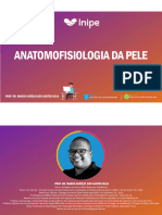 Anatomofisiologia da Pele