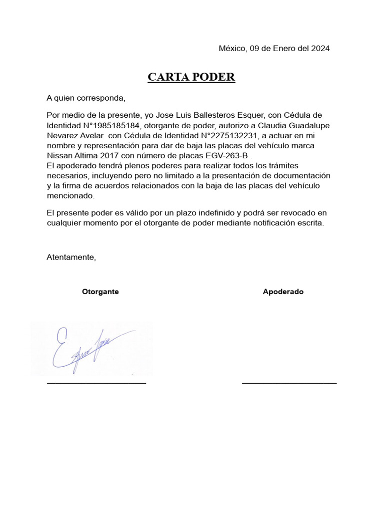 Carta de Poder para Dar de Baja Placas | PDF