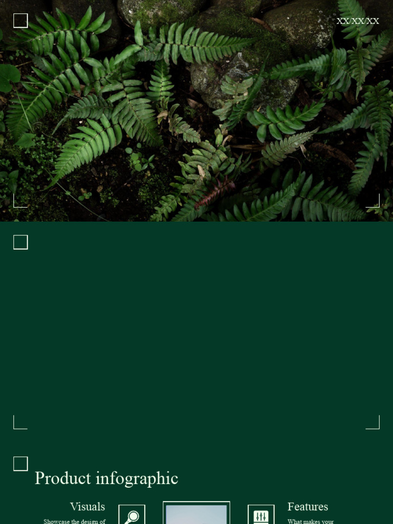 ذذ | PDF | Infographics