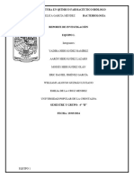 REPORTE DE INVESTIGACIÓN DE BACTE JJ