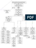 Pathway Skoliosis