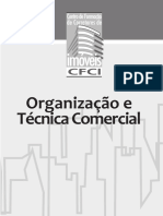 6 Organizacao e Tecnica