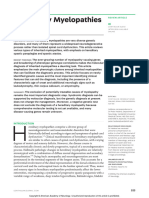 CONTINUUM MYELOPATHIES