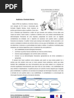Auditoria e Controlo Interno