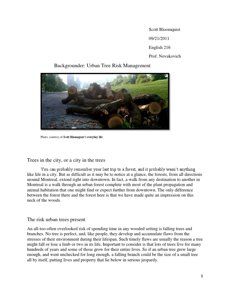 Urban Tree Risk Management Overview | PDF