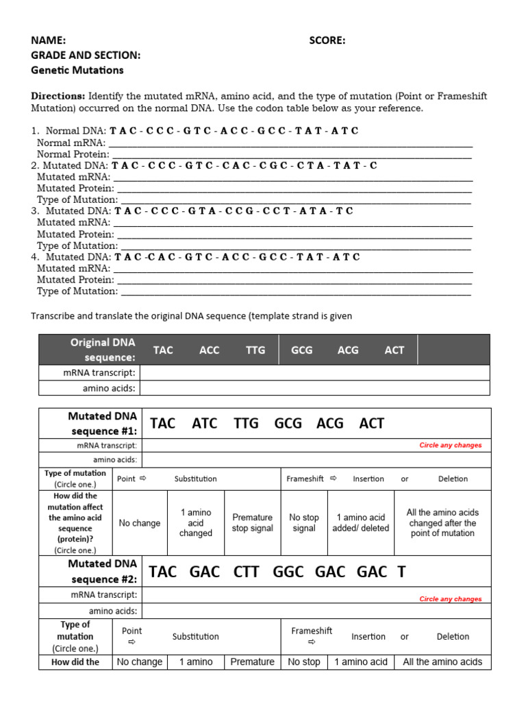 Activity Mutations | PDF | Point Mutation | Mutation