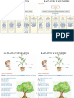 La Planta y Sus Partesla Planta y Sus Partes 19-10-23