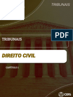 Direito Civil - Capítulo 01