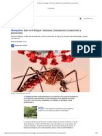 Qué es el dengue