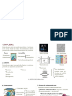 Presentación 1