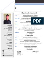 Curriculum Vitae 3