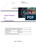 GUÍA PRÁCTICA LAB - SEM 13. Fundamentos Teoricos