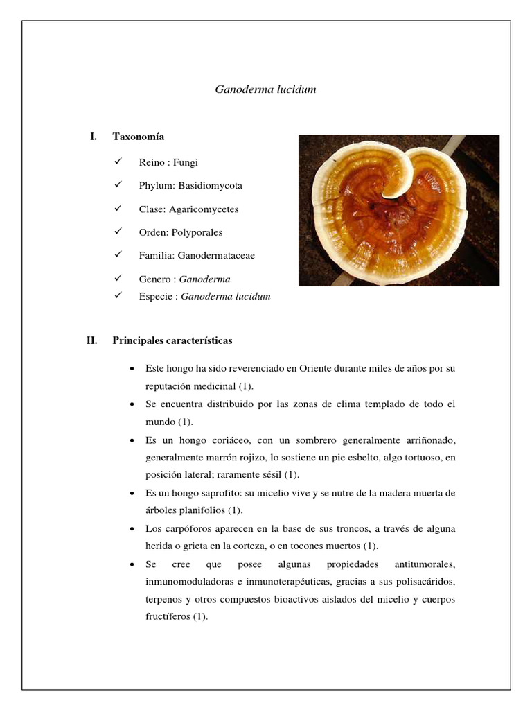 Ganoderma Lucidum | PDF | Medicina CLINICA | Especialidades Medicas