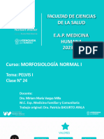 Clase 24 Morfofisiologia 2023 II