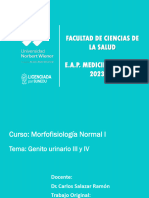 Clase 27-28 Morfofisiologia Normal 2023 II