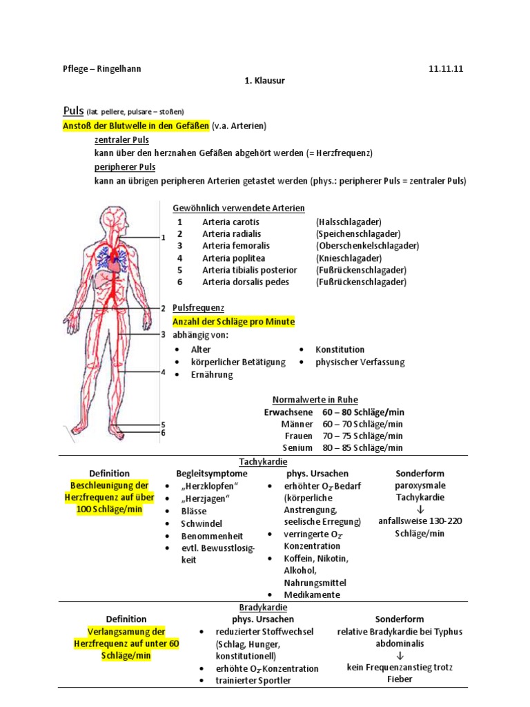 Physiotherrapy