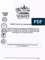 DIRECTIVA N001-2023-MPLP-GAF- CAJA CHICA
