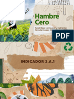 HAMBRE CERO - INDICADORES 2.a.1 Y 2.3.1