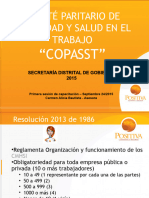 Clase 4.2 Copasst PDF