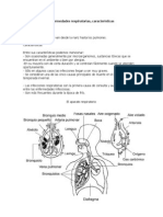 Enfermedades respiratorias