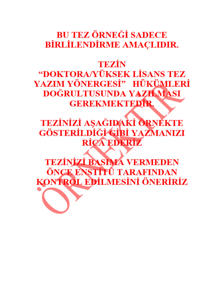 Ornek Tez | PDF