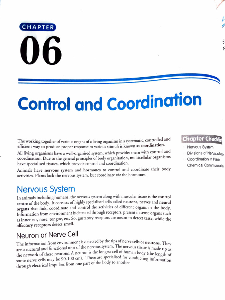 Control and coordination class 10 pdf