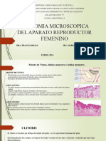 Anatomia Microscopica Del Aparato Reproductor Femenino