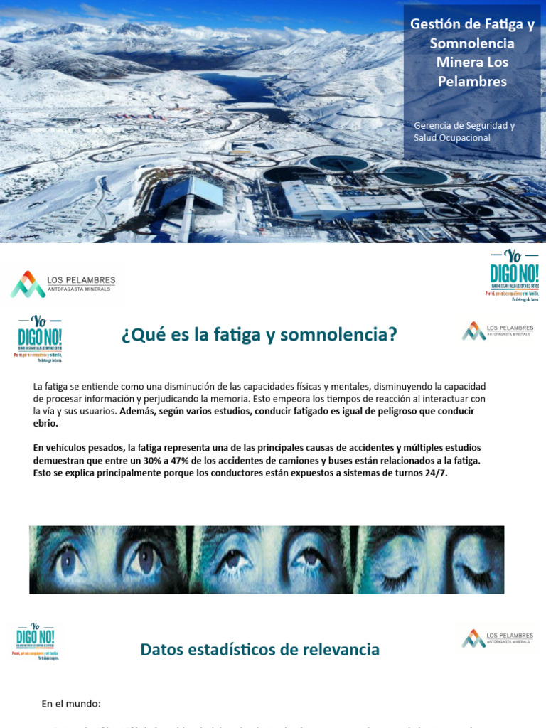 Gestion Fatiga Somnolencia MLP | PDF | Dormir | Seguridad y salud ...