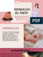 Presentación Preparación Parto Embarazo Femenino Rosa