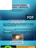 Neurohistogenesis Neurona Y Neuroglia