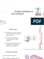 Anatomia quirurgica de esofago