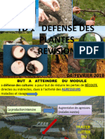 TD 1 Defense Des Plantes Revision: 04 FEVRIER 2019