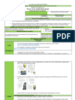 Proyecto Primera Semana Ieenn - Languagetool