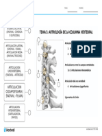 cervical-diagrama-con-etiquetas