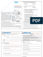 Ficha - Com - Comprensión de Lectura PDF