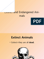 Endangered Animals