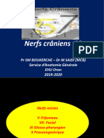 Nerfs Crâniens 03: PR SM Boukerche - DR M Saidi (MCB) Service D'anatomie Générale EHU Oran 2019-2020