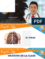 Hesos Del Torax PDF
