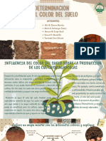 Brown Aesthetic Creative Presentation - Compressed PDF