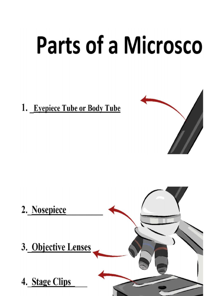 Micro | PDF